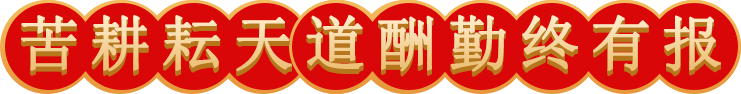 乐动（中国）颁发奖状