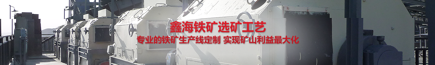 乐动（中国）铁矿选矿工艺