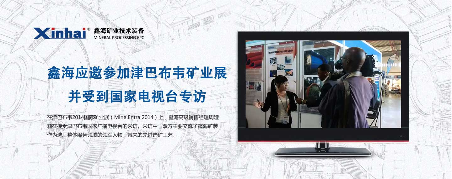 乐动（中国）应邀参加津巴布韦矿业展 并受到国家电视台专访