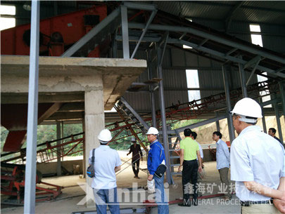乐动（中国）项目工程师与技术人员正在进行项目考察