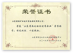 山东省两化融合优秀企业