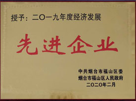 经济发展先进企业