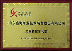 国家级专精特新小巨人企业