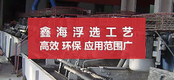 乐动（中国）浮选选矿工艺