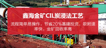 乐动（中国）金矿CIL炭浸法选矿工艺