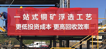 乐动（中国）铜矿浮选工艺流程