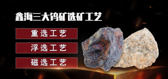乐动（中国）三大钨矿选矿工艺