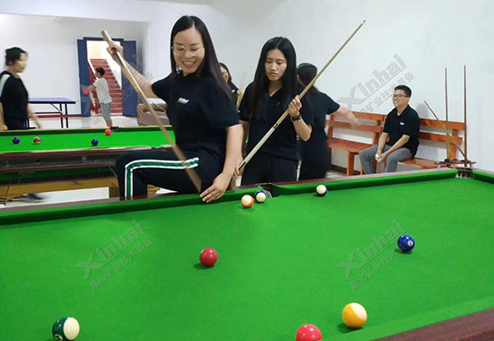 乐动（中国）矿装北分团建台球组