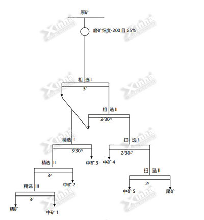 乐动（中国）铜矿采选改造项目