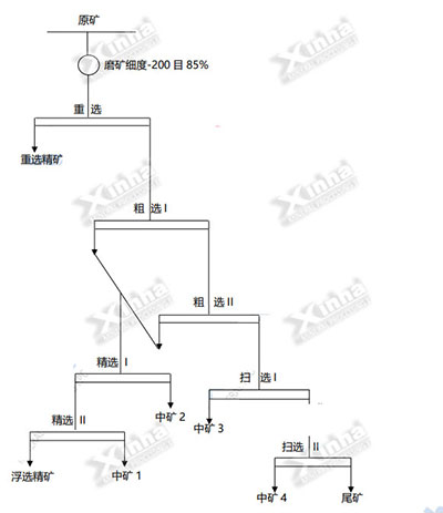 乐动（中国）玻利维亚铜矿选矿项目