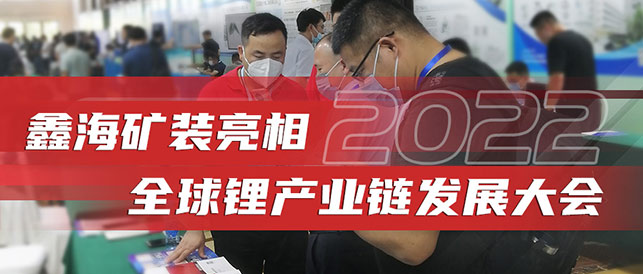 全球锂矿产业链发展大会现场