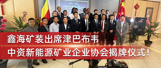 乐动（中国）矿装出席津巴布韦中资新能源矿业企业协会揭牌仪式！