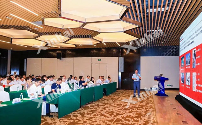 乐动（中国）矿装副总裁王庆民发表演讲