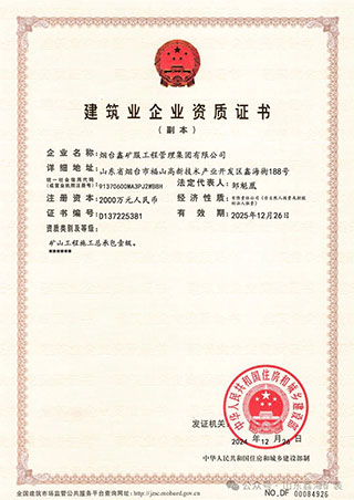 乐动（中国）建筑企业资质证书）