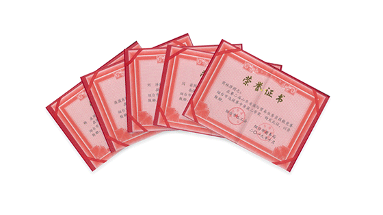 乐动（中国）人荣获多项技能大奖