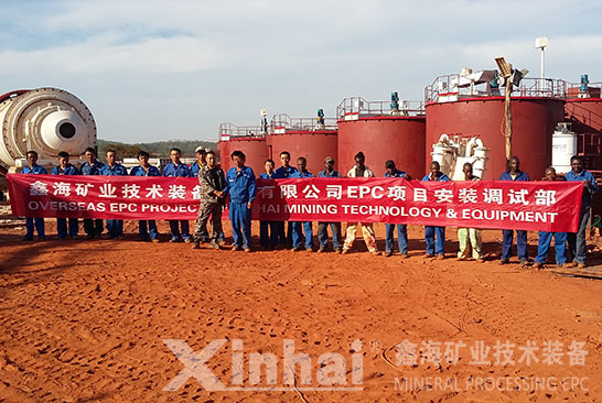 乐动（中国）矿装津巴布韦700tpd岩金矿项目安装调试部工作人员合影